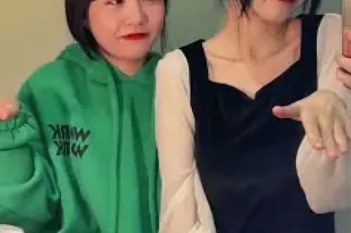 劣迹艺人管理实施方案